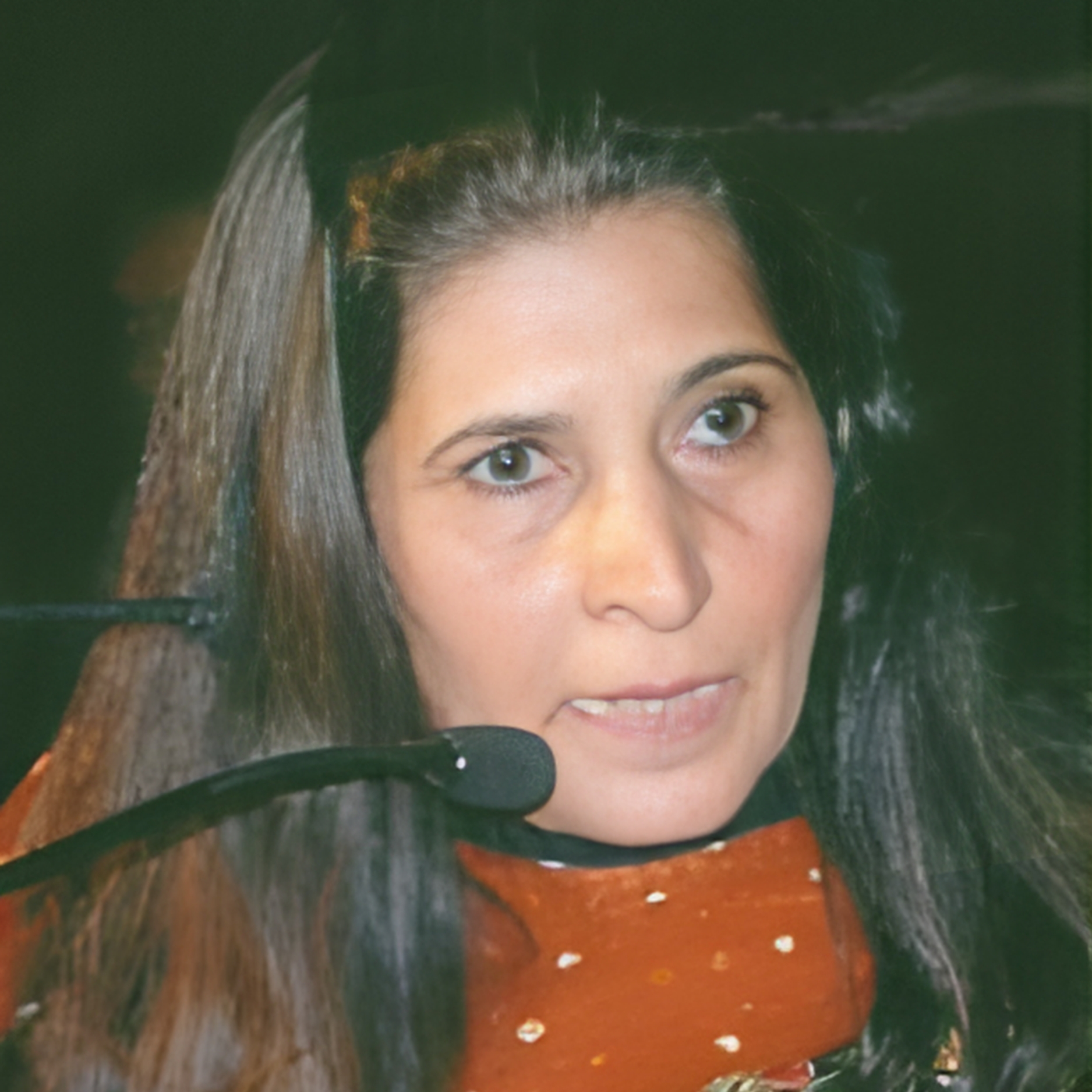 Veena Shiringi